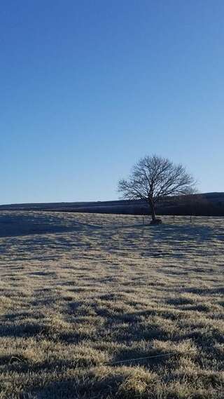 Отели типа «постель и завтрак» Burren Rock Farmhouse B&B Turlough-1